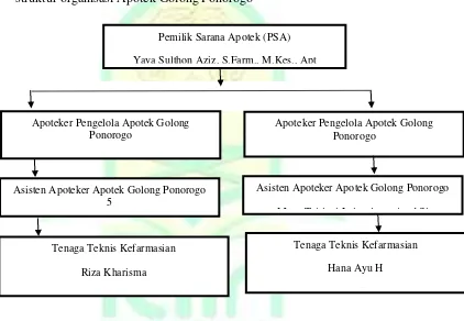 Gambar 4.1 struktur organisasi Apotek Golong Ponorogo 