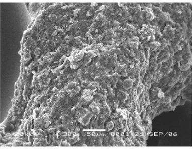 Gambar 6. Lumpur flocculent : (a) Uji mikroskopis & (b) Uji SEM, 