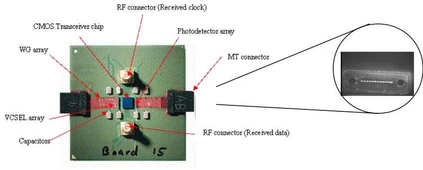 Figure 2. A completed prototype package for chip-to-chip optical data communication. The MT (multi-terminal) connector is magnified to show the light output from the 12 channels of the transmitter.