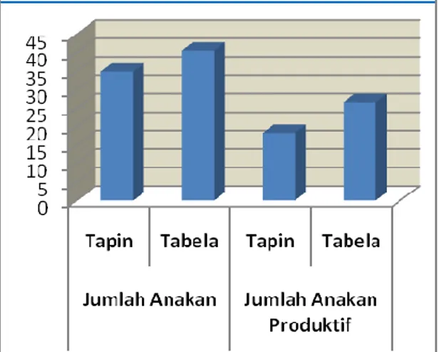 Gambar 1.  Jumlah Anakan dan Anakan  Produktif (batang/rumpun) 