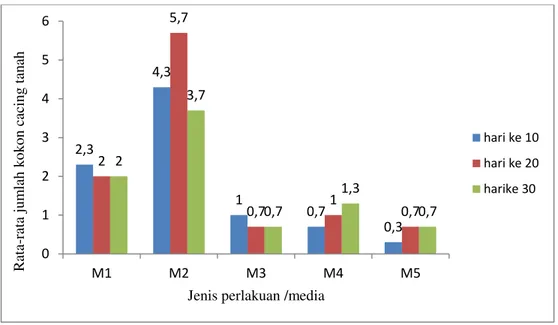 Gambar  3.  Rata- rata jumlah kokon cacing tanah Perionyx sp1/butir  Hasil  pengamatan  selama  30  hari  