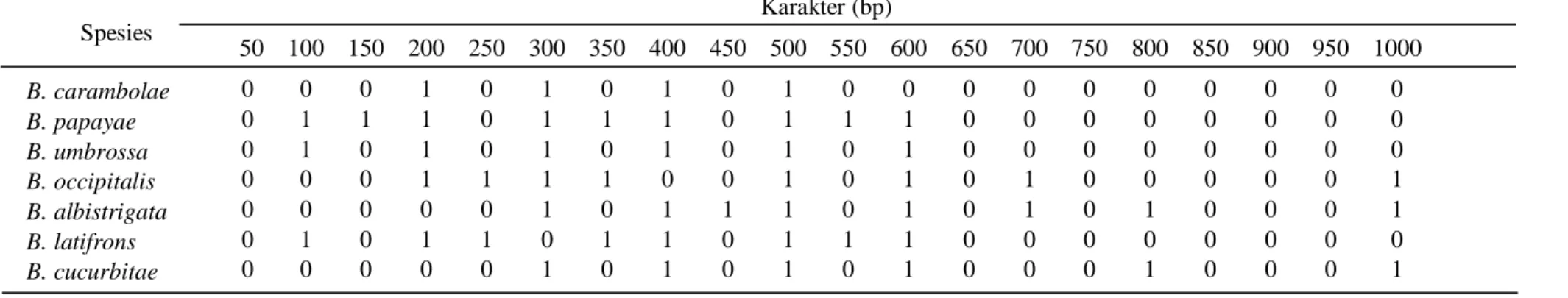 Tabel 6. Matrik data karakter molekuler RAPD tujuh spesies lalat buah hasil dari elektroforesis