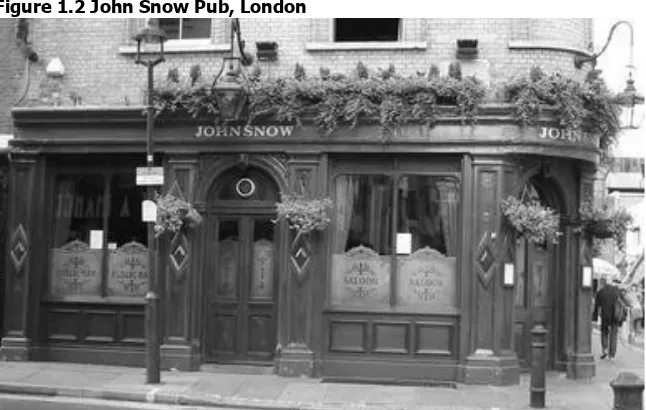 Figure 1.2 John Snow Pub, London  