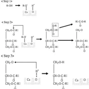 Gambar 3.  Mekanisme Reaksi Transesterifikasi 