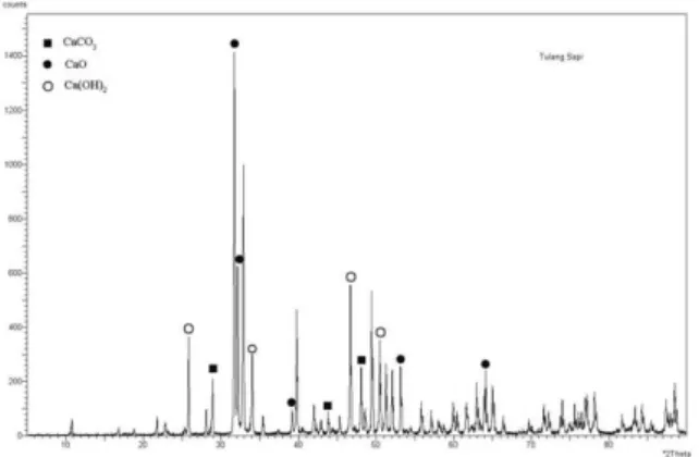 Gambar 5 . Hasil Analisis XRD pada Katalis 