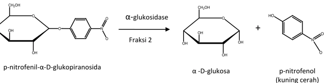 Gambar 3. Mekanisme Reaksi Inversi α-Glukosidase Gambar 2. Reaksi Uji Antidiabetes 