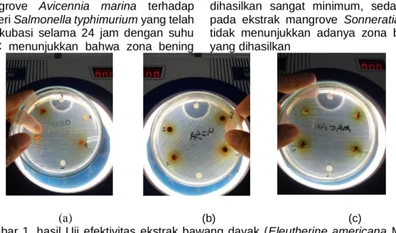 Gambar  1. hasil  Uji  efektivitas  ekstrak bawang dayak  (Eleutherine americana  Merr),  mangrove  Avicennia  marina  dan  mangrove  Sonneratia  alba  terhadap  bakteri 
