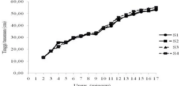 Gambar 2. Grafik pertumbuhan tinggi tanaman pada perlakuan dosis arang sekam 