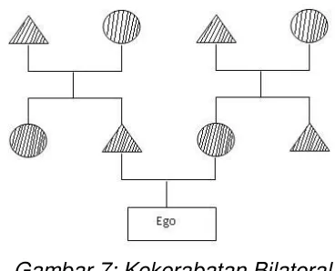 Gambar 7: Kekerabatan Bilateral 
