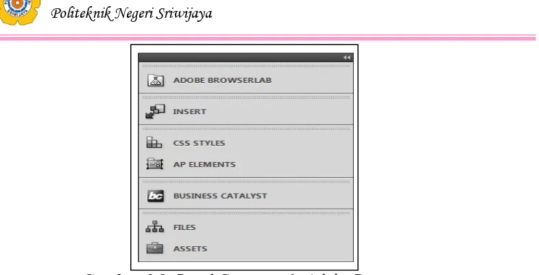 Gambar 2.8. Panel Groups pada Adobe Dreamweaver 