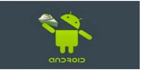 Gambar 2.4. Android Banana Bread 