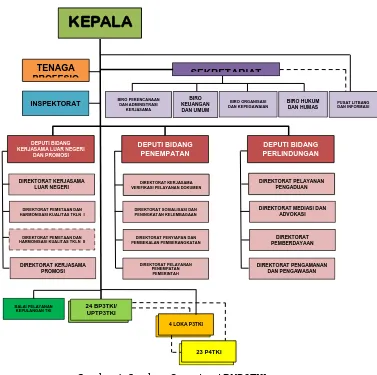 Gambar 1. Struktur Organisasi BNP2TKI  