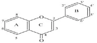 Gambar. 2. 6 : Struktur molekul flavones (flavonoid) (Cushnie, 2005) 