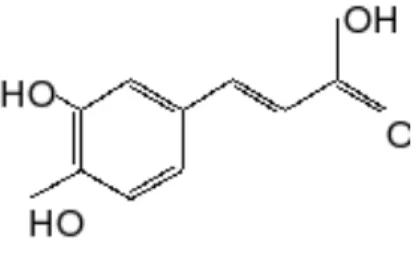 Gambar. 2.7 : Struktur molekul asam fenolat ( Zaeemzadeh, 2011). 