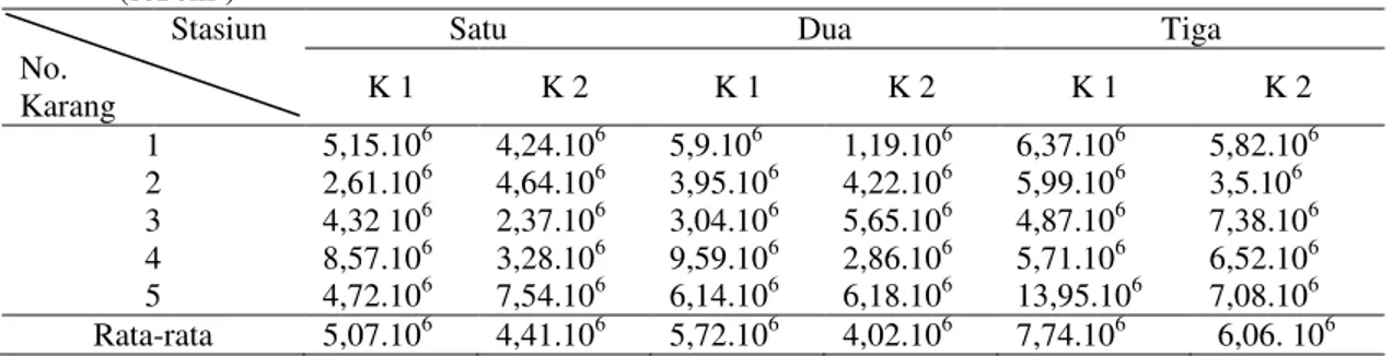 Tabel 6. Nilai Hue pada pada Karang Acropora sp. di Tiga Stasiun dengan dua Kedalaman Berbeda ( 0 ) 