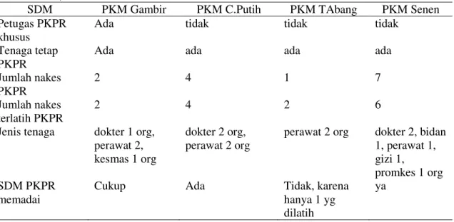 Tabel 3. Kajian Puskesmas PKPR Berdasar Info Pelaksana Program Puskesmas Di Kota Jakarta  Pusat, 2011 