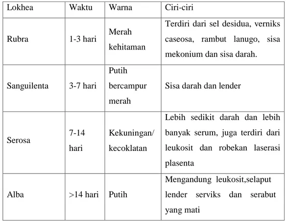 Table 2. 9 Perbedaan Masing-masing Lokhea 
