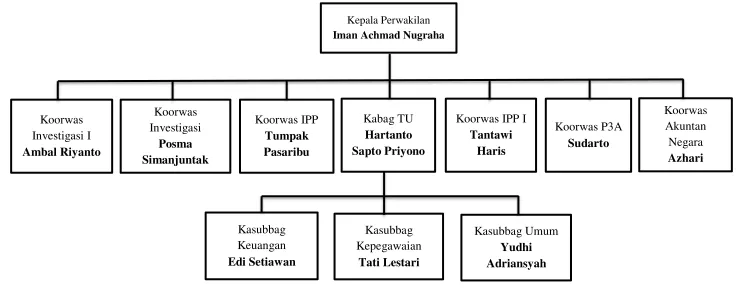 Gambar 2.1 Struktur Organisasi BPKP Perwakilan Provinsi Sumatera Selatan 