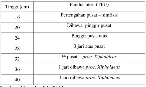 Tabel 2.4 TFU Menurut Penambahan Tiga Jari 