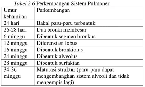 Tabel 2.6 Perkembangan Sistem Pulmoner  Umur 