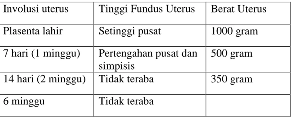 Tabel 13 Perubahan normal pada uterus selama masa nifas  Involusi uterus  Tinggi Fundus Uterus  Berat Uterus  Plasenta lahir  Setinggi pusat  1000 gram  7 hari (1 minggu)  Pertengahan pusat dan 