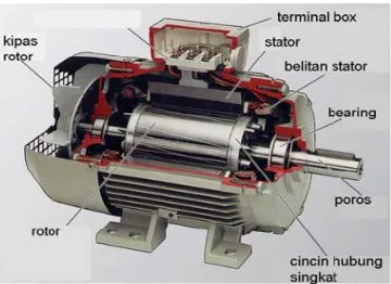 Gambar 2.2 Klasifikasi motor Induksi 