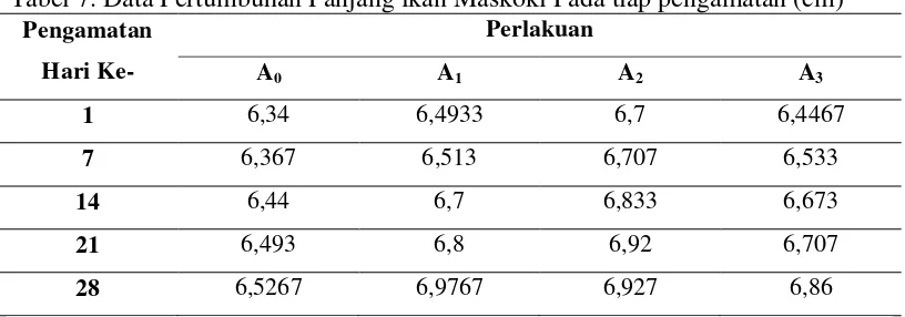 Tabel 7. Data Pertumbuhan Panjang ikan Maskoki Pada tiap pengamatan (cm) 