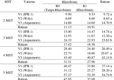 Tabel 1. Tinggi Tanaman (cm) pada umur  2—5 MST dengan perlakuan Rhizobium 