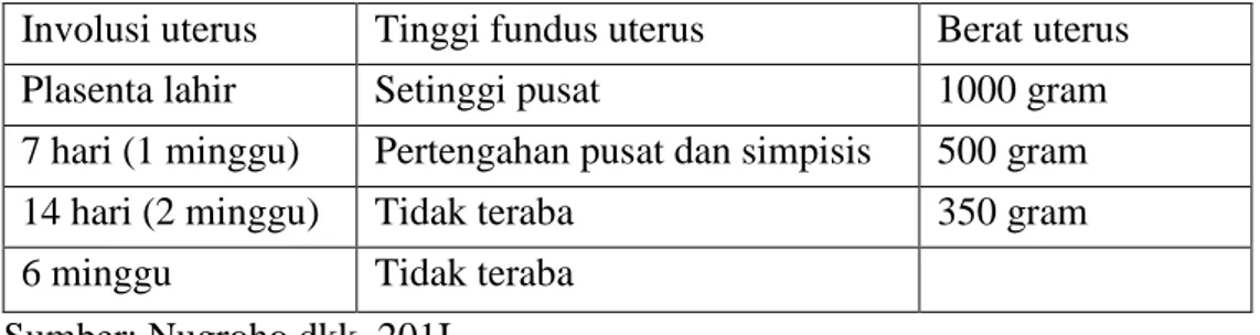 Tabel 2.5 Perubahan normal pada uterus selama masa nifas  Involusi uterus  Tinggi fundus uterus  Berat uterus 