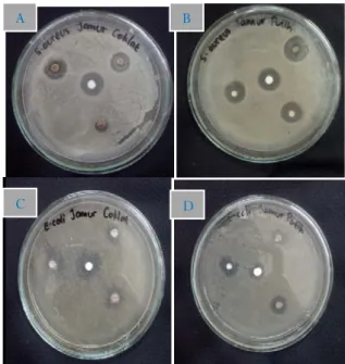 Gambar 1. A. Diameter zona hambat jamur 
