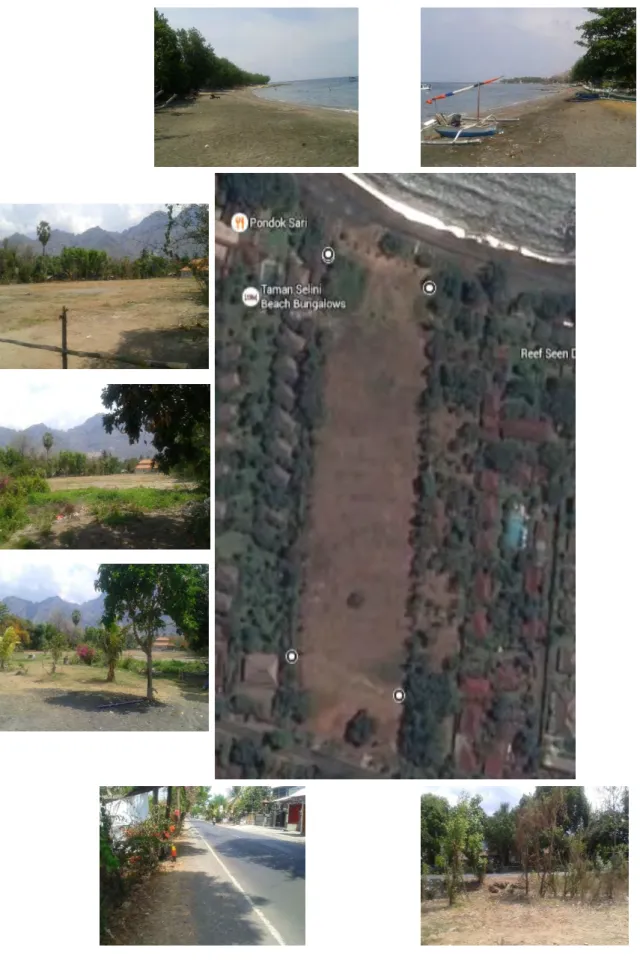 Gambar 5  : Kondisi site 