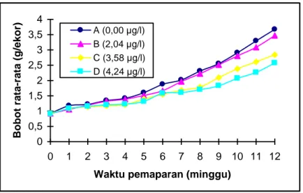 Gambar 1. Pertambahan bobot rata-rata individu ikan mas pada masing-masing perlakuan selama  12 minggu pemaparan