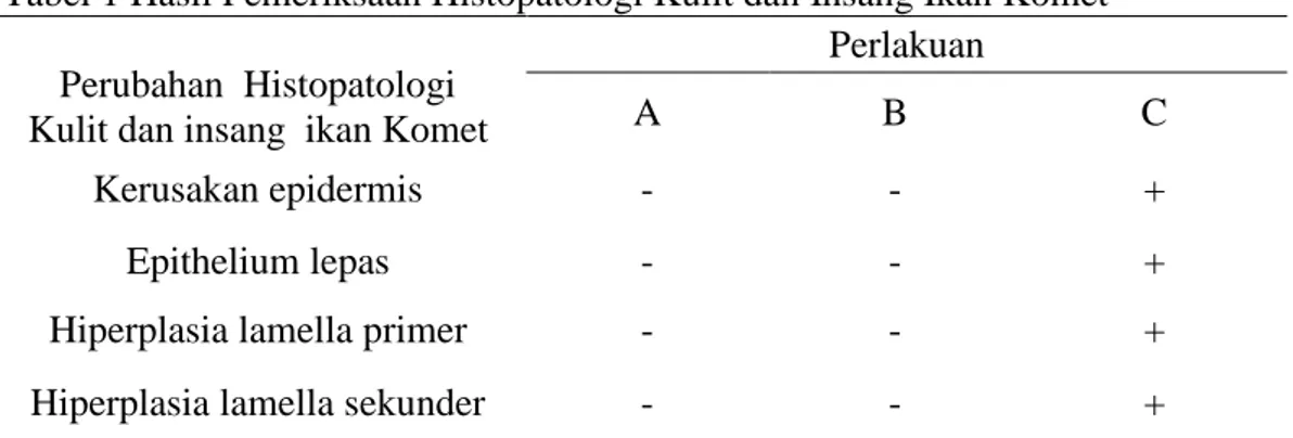 Tabel 1 Hasil Pemeriksaan Histopatologi Kulit dan Insang Ikan Komet  