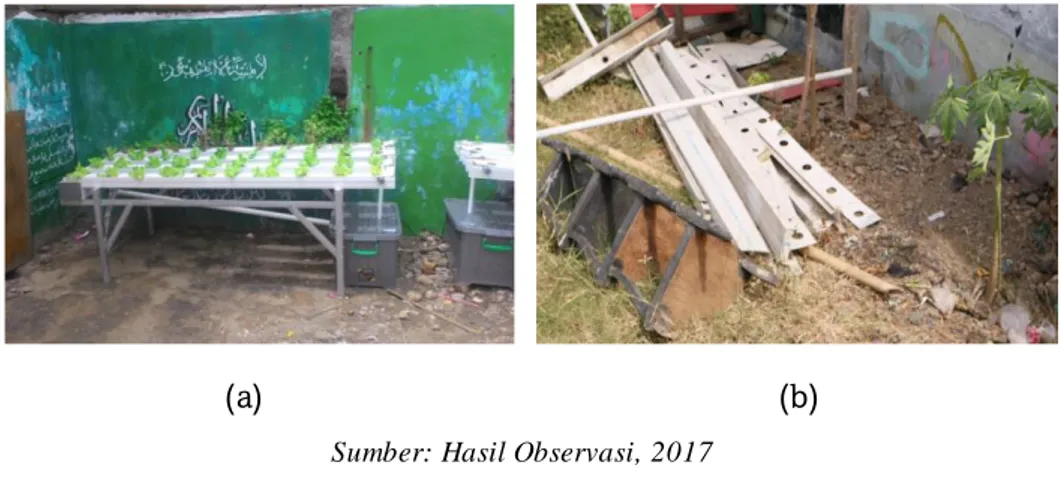 Gambar 5. (a) Penempatan Tanaman Hidroponik pada Awal Pelaksanaan Kampung Tematik 2016;         (b) Kondisi Tanaman Hidroponik Pasca Pelaksanaan Kampung Tematik Tahun 2016 