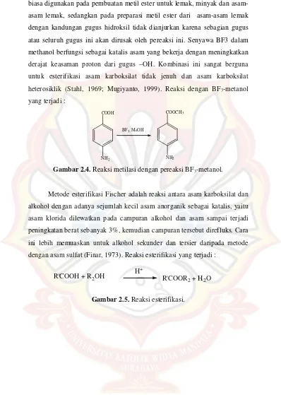 Gambar 2.4. Reaksi metilasi dengan pereaksi BF3-metanol.  