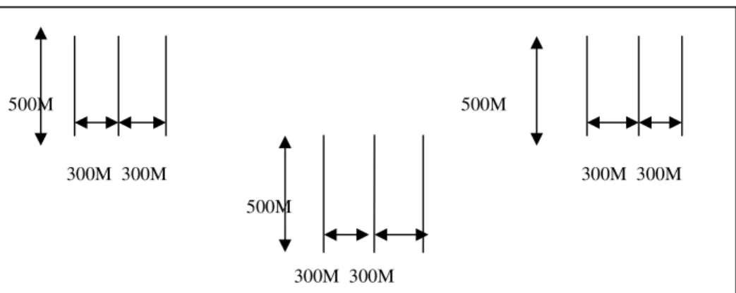 Gambar 1. Contoh peletakan jalur pengamatan (Examples of observation the laying of