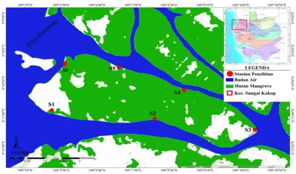 Gambar 1. Peta Stasiun Penelitian di Hutan Mangrove Pulau Sepok Keladi 