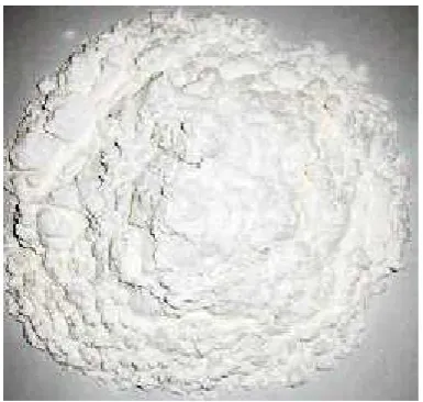 Gambar 3. Tepung Tapioka