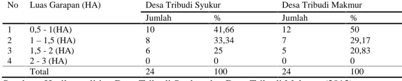 Tabel  4.  Luas  garapan  responden  di  Desa  Tribudi  Syukur  dan  Tribudi  Makmur  yang tergabung dalam kelompok HKm Bina Wana.
