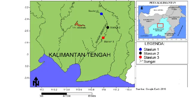Gambar 1 Peta lokasi daerah penelitian ikan gabus (Channa striata) di Sungai Sebangau, Kalimantan Tengah