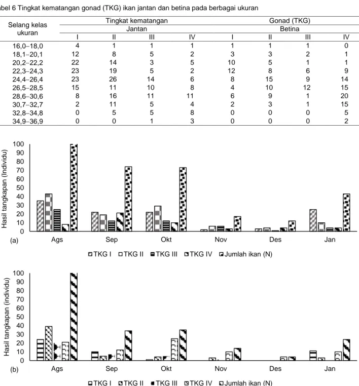 Tabel 6 Tingkat kematangan gonad (TKG) ikan jantan dan betina pada berbagai ukuran  Selang kelas 