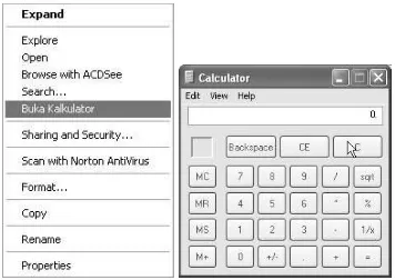 Gambar 5.4. Struktur Registry 