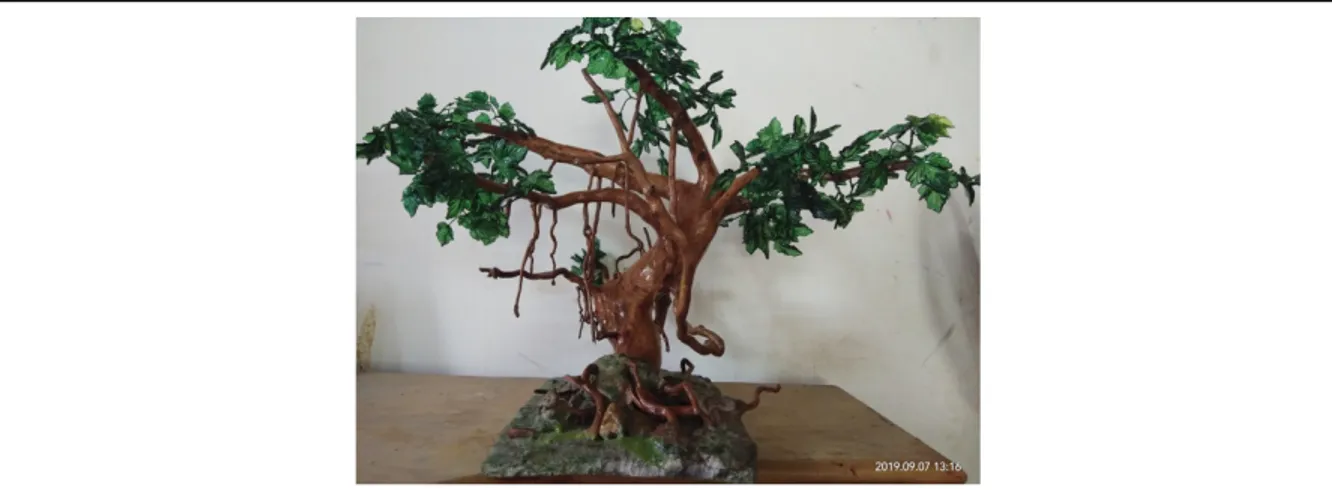 Gambar 3.7. Maroca berbentuk bonsai 