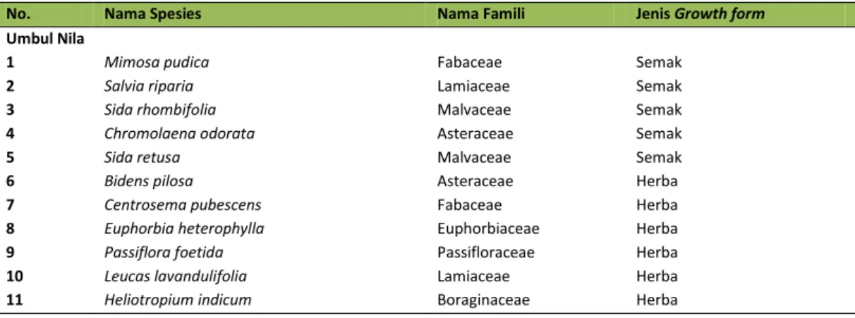 Tabel 1. Komposisi Vegetasi Lantai ( Semak, Herba, dan Rumput ) Pada Lokasi Pengamatan 