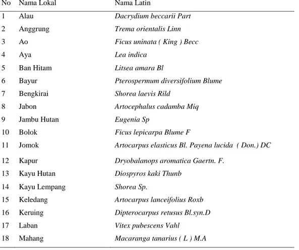 Tabel 2. Jenis Vegetasi Hutan Skunder Sekitar Areal Pertambangan Batubara   PT    Kitadin Site Embalut  No  Nama Lokal  Nama Latin 
