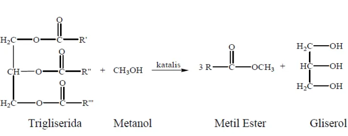 Gambar 1. Reaksi Transesterifikasi dengan Katalis Homogen (Sumber: Hue, L., 2007) 