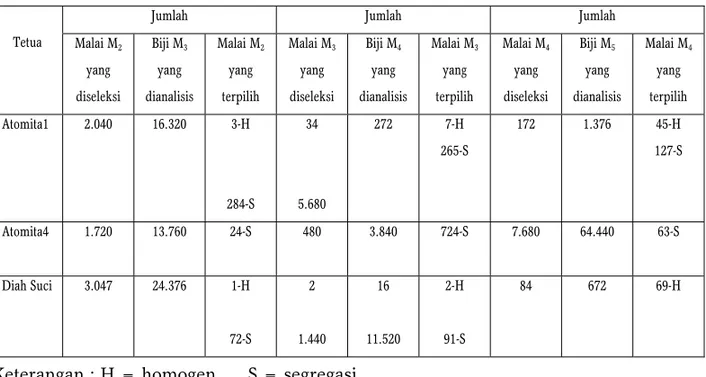 Tabel 3.  Jumlah malai dan biji M 2 , M 3 , M 4 , dan M 5  yang diseleksi dan dianalisis 