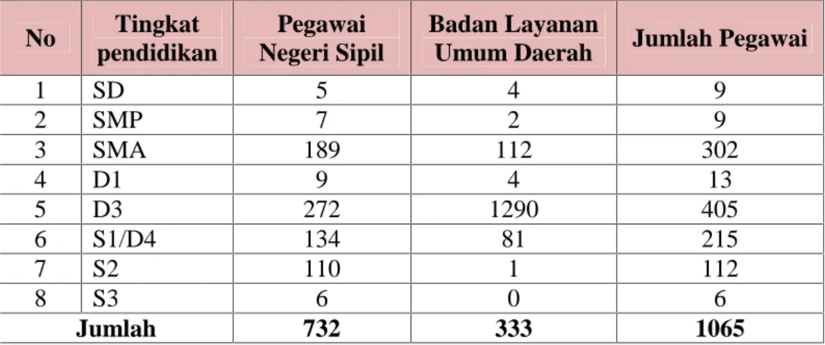 Tabel  4.1 Jumlah  Tenaga Kerja RSU  Haji  Tahun 2014  Berdasarkan  Tingkat Pendidikan No Tingkat pendidikan Pegawai Negeri Sipil Badan Layanan