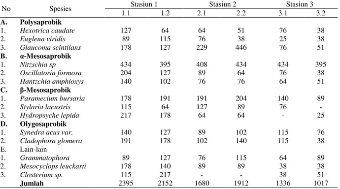 Tabel 6. Komposisi dan Kelimpahan Plankton (individu/L) pada bulan Februari 