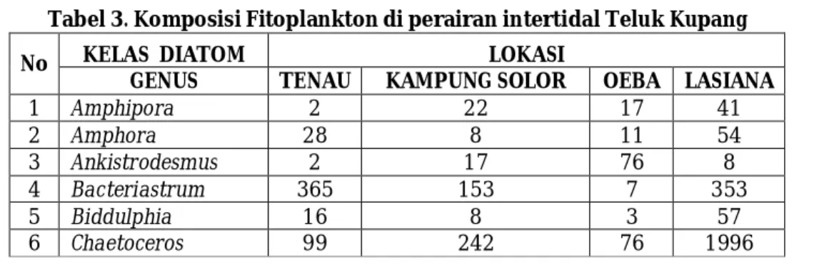 Tabel 3. Komposisi Fitoplankton di perairan intertidal Teluk Kupang 
